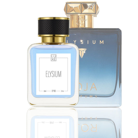 Elysium (Inspired by R@ja Elysium) ( Worn by H@rdik P@ndy@ )